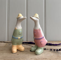 Ceramic Ducks  - Varies