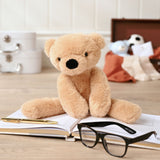 Hudson The Teddy Bear