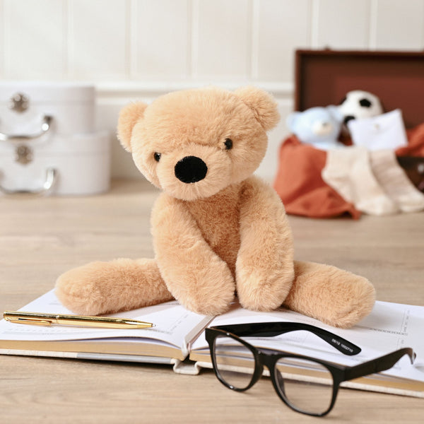 Hudson The Teddy Bear