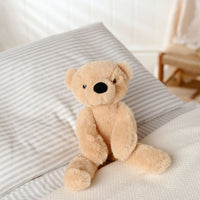 Hudson The Teddy Bear