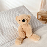 Hudson The Teddy Bear