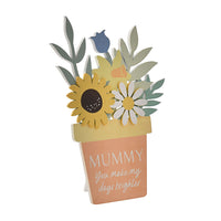 The Cottage Garden Mummy Plaques - Includes Free Gift Bag